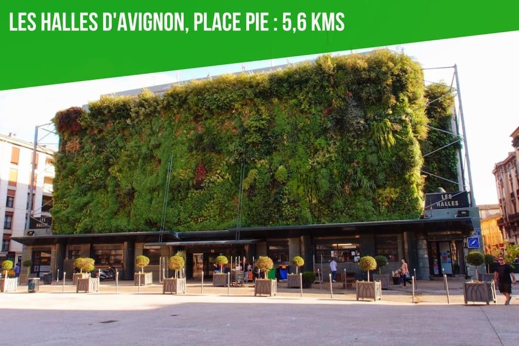 Petit Terme - Piscine - Clim - Parking Leilighet Les Angles  Eksteriør bilde